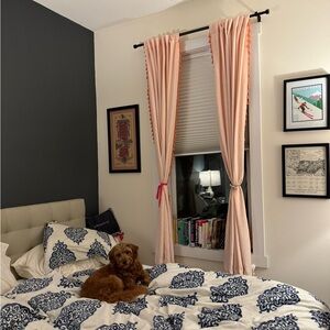 Four Panels Opalhouse Velvet Pink and Orange Drapes Curtains